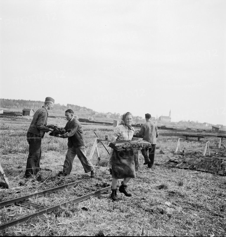 Peat Diggers near Boswil, 1945.