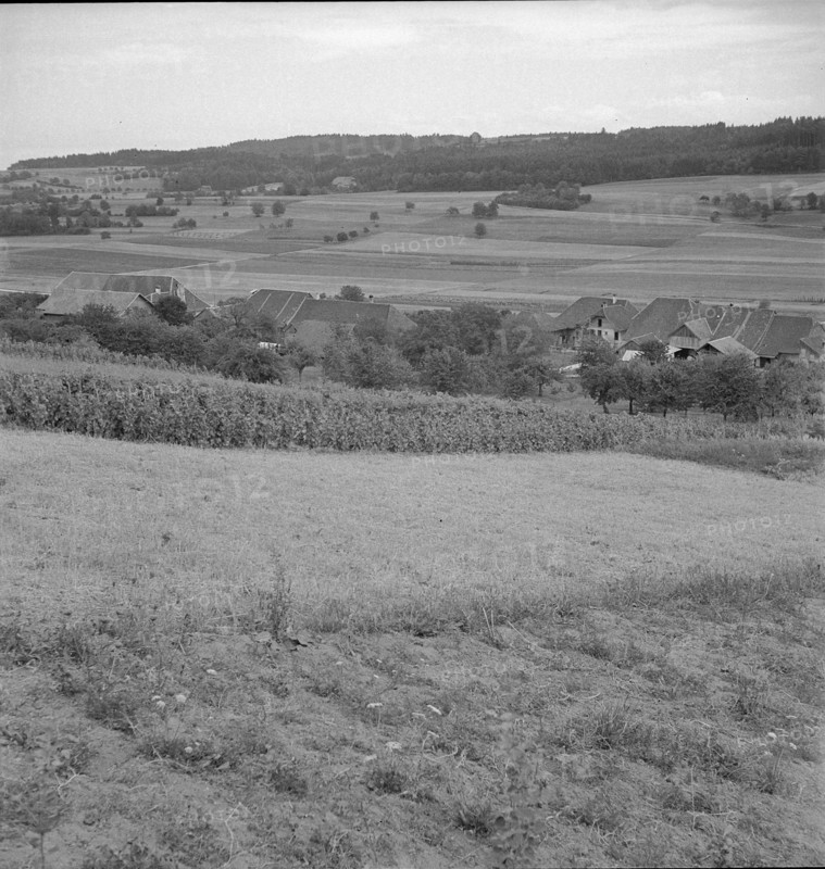 Champmartin; farming village.