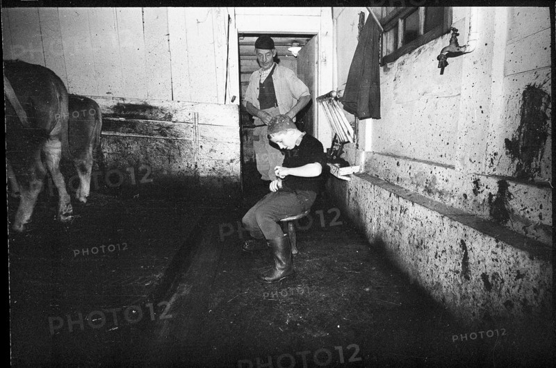 Boy in a barn in the Emmental, 1970.
