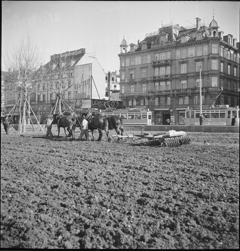 Extended war cultivation in the city centre; 1941.