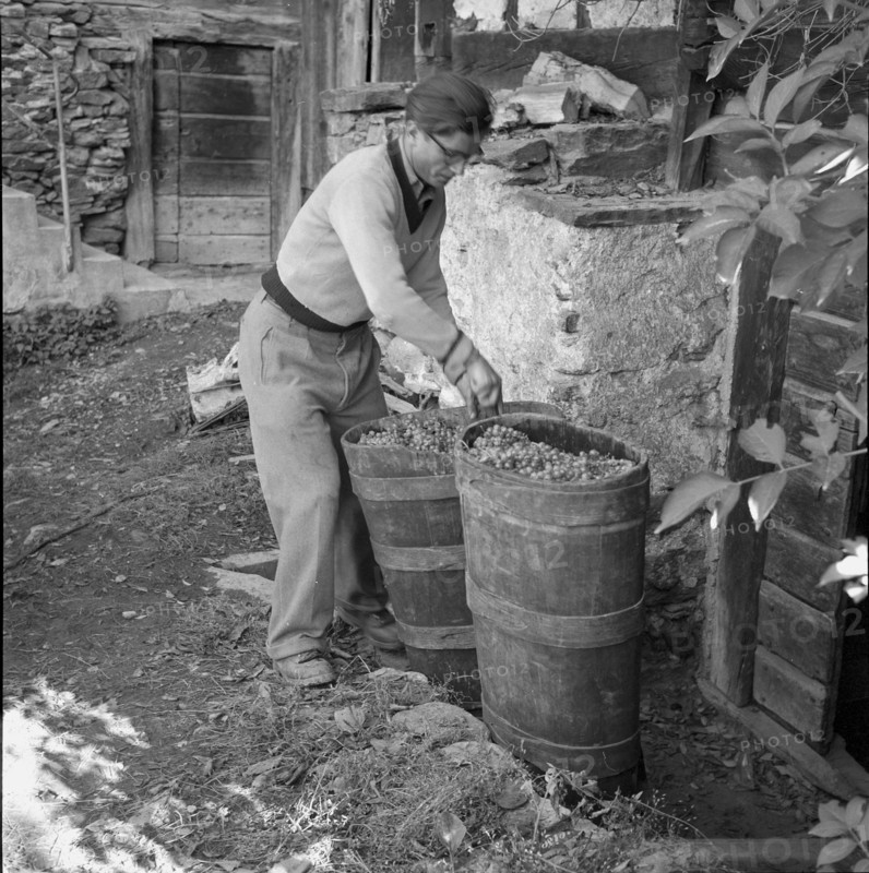 Heidenwein: winegrower with wine tub, 1956.