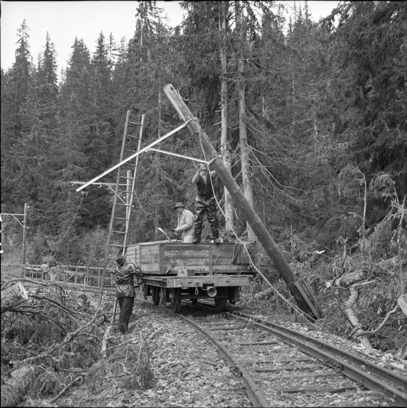 Heavy foehn storm caused fally of pylon; Murren 1962.