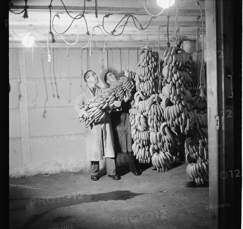 Import of Bananas, 1947.