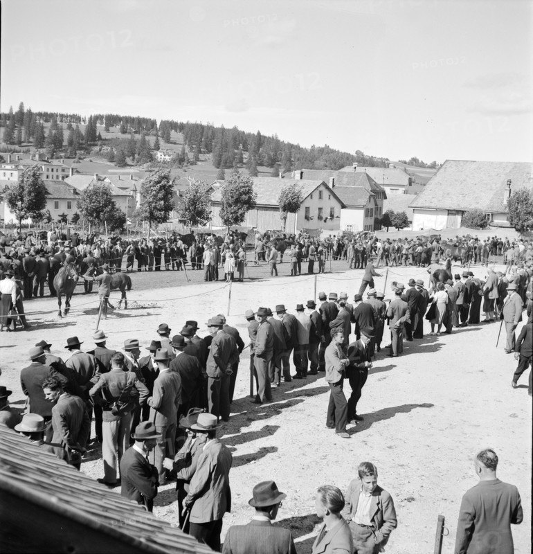 40th Marche-Concours Saignelegier, presentation, 1943.