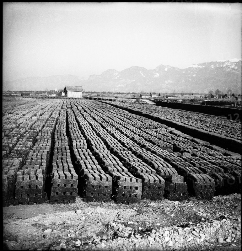 Peat  piled up, Rheintal 1949.