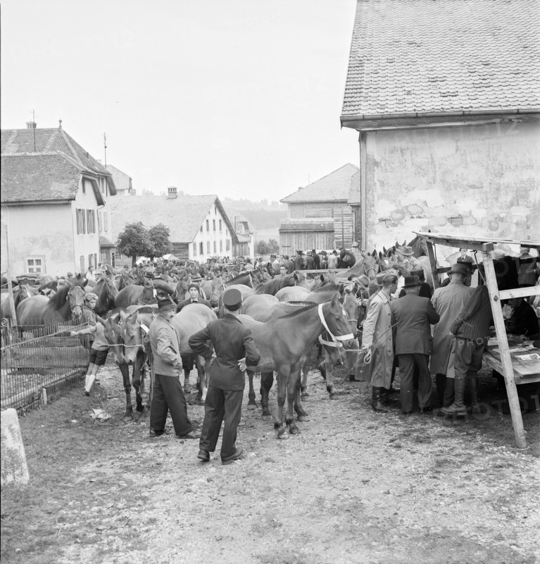 42nd Marche-Concours Saignelegier, horse market, 1945.