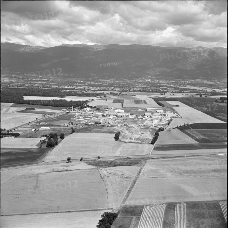 CERN near Meyrin 1957.