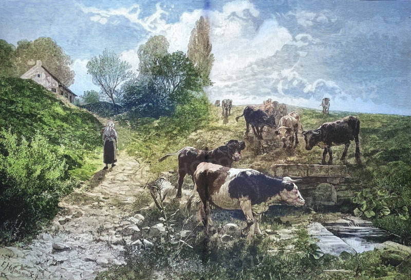 Rural idyll with cows in the pasture