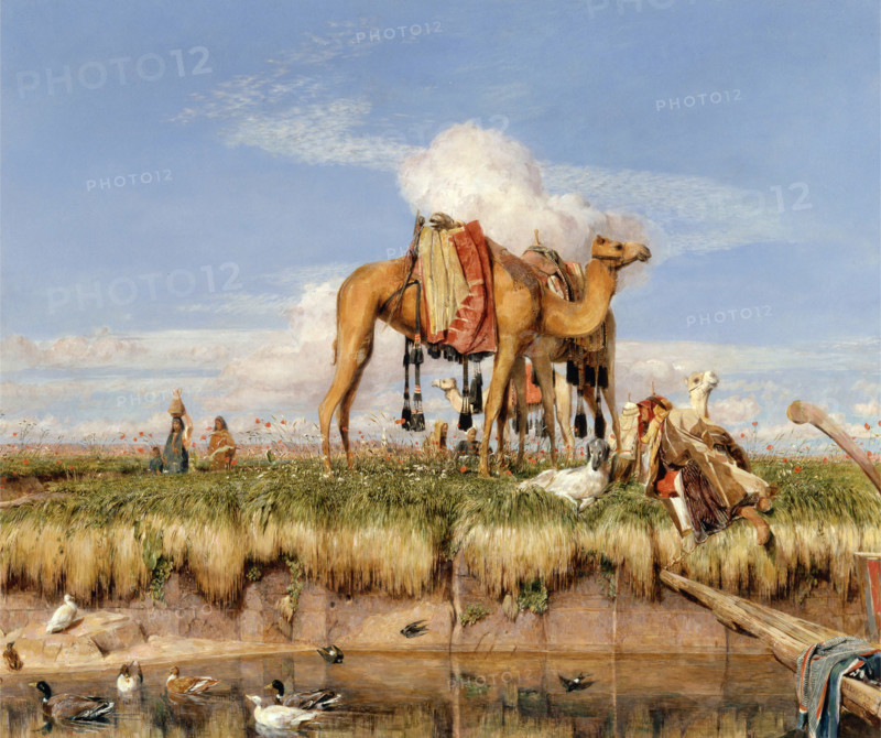 On the banks of the Nile