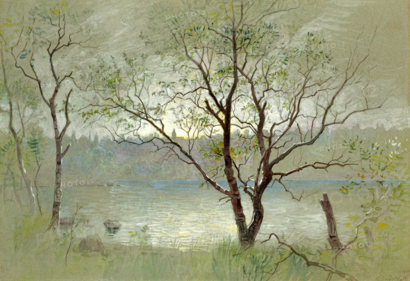 Two trees in the foreground frame the composition. Water in the middle ground