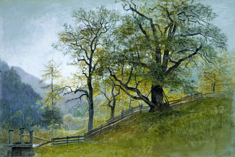 Vahrn in Tirol