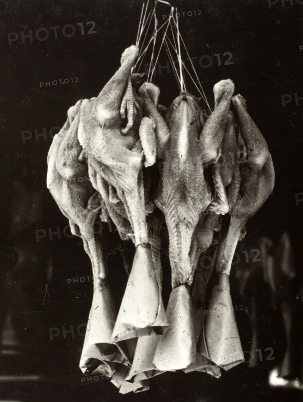 Slaughtered ducks hanging in a Chinese restaurant in New York