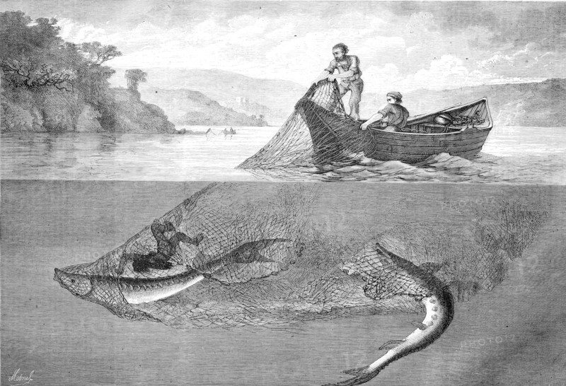 Fisherman catching sturgeon.