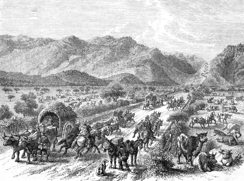 Country road with carriages from Valpardiso to St. Jago.