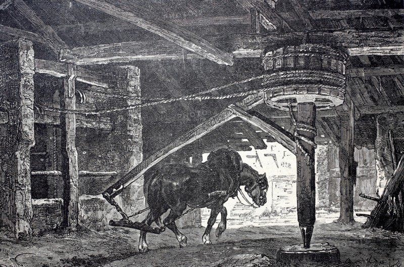 Mine horse turning the treadmill in a mining operation.