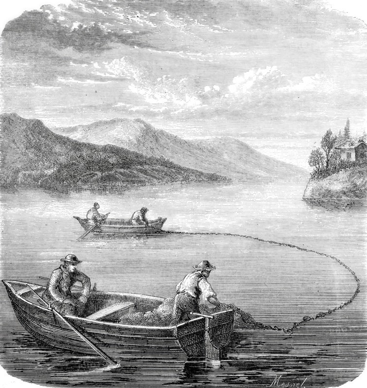 Fishermen on Lake Constance catching bluefish.