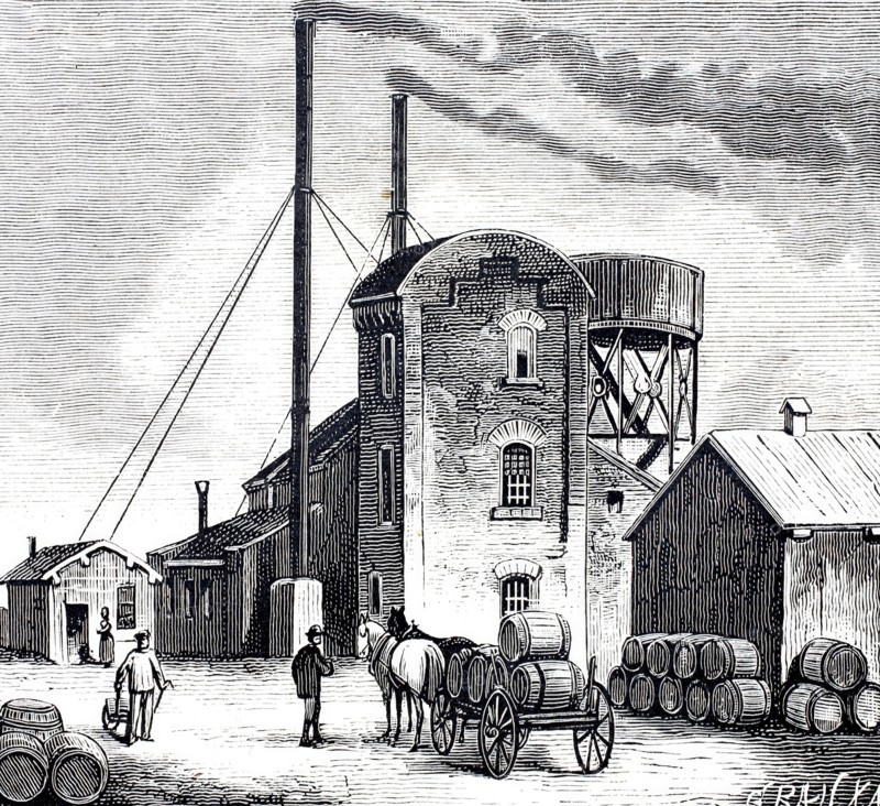 Petroleum springs in Oelheim.