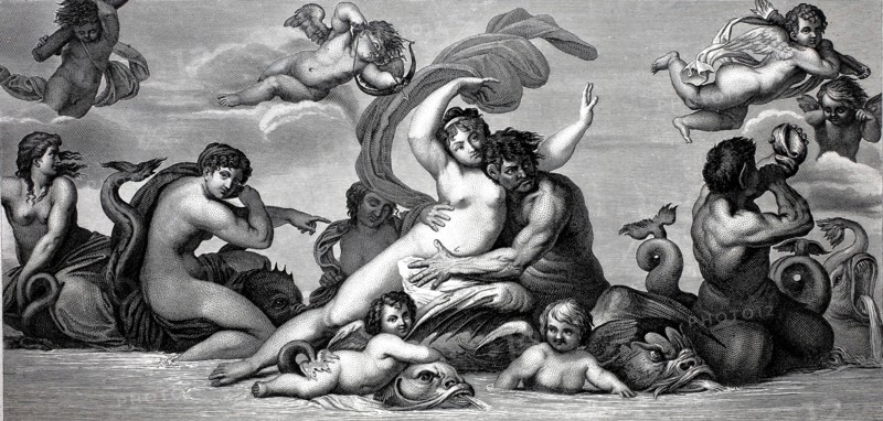 Galatea.