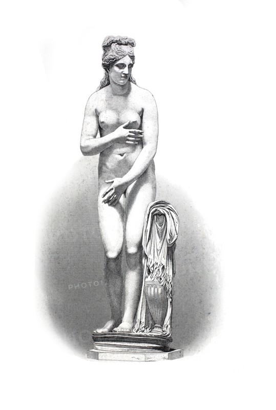 Statue of Venus.