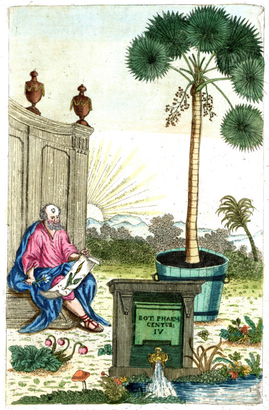 Cover of Botanica Pharmaceutica by Andreas Friedrich Happe