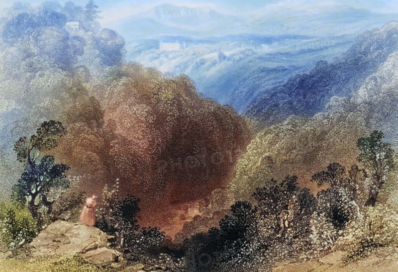 Powerscourt from the Dargle. County Wicklow. Ireland. from The Scenery and Antiquities of Ireland. 1841. digital reproduction of a historical original