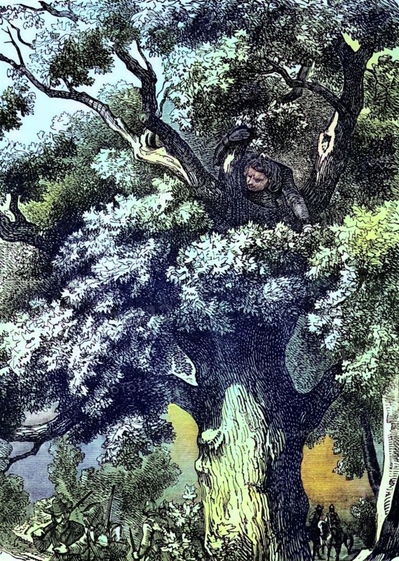 Fleeing after the Battle of Worcester in 1651. King Charles II. on the advice of Colonel William Careless. who had fought at Worcester. hid for a day in an oak tree (the Royal Oak) near Bascobal House in Shropshire. while Parliamentary troops searched the surrounding woods. England. digital reproduction of a historical original
