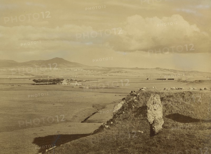 Roman countryside seen from the Appian Way