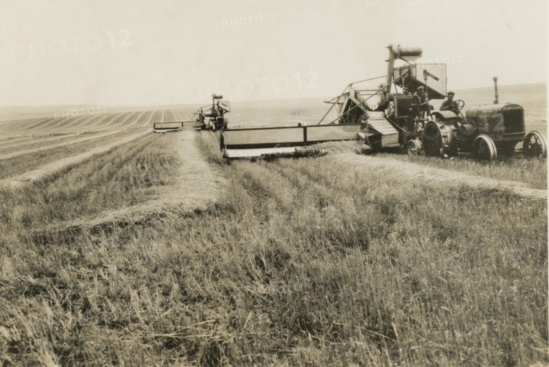Combine harvesters in a wheat field in Manitoba, Canada.