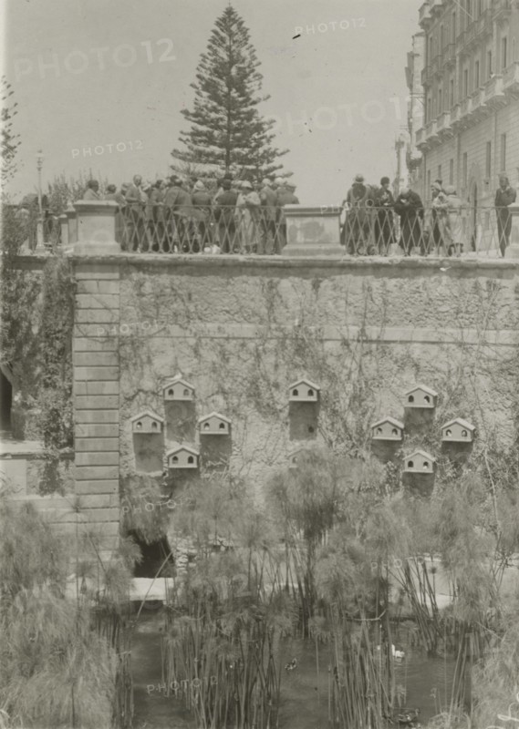 At the Aretusa Fountain in Ortigia.  Syracuse. 
	
		1924