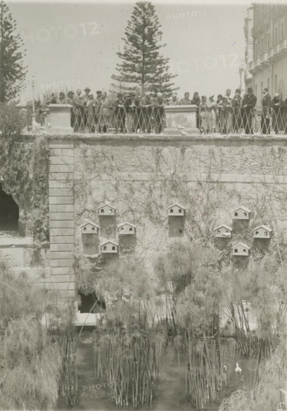 Arethusa Fountain in Ortigia.  Syracuse. 
	
		1924