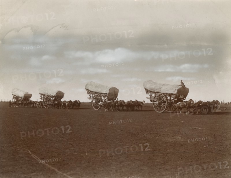 Horses and carts in Argentina. 
	
		1910-1940
