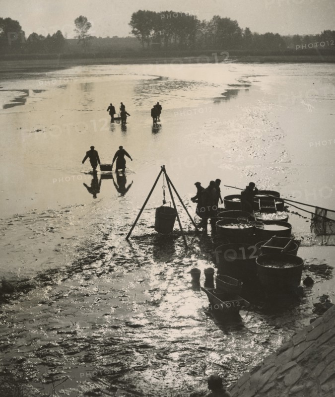 Fishing in Svet Lake in Bohemia. 1950-1966