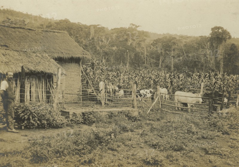 Joao Pinheiro Nucleus: Cacheira e gallinheiro de colono alemao. 1922