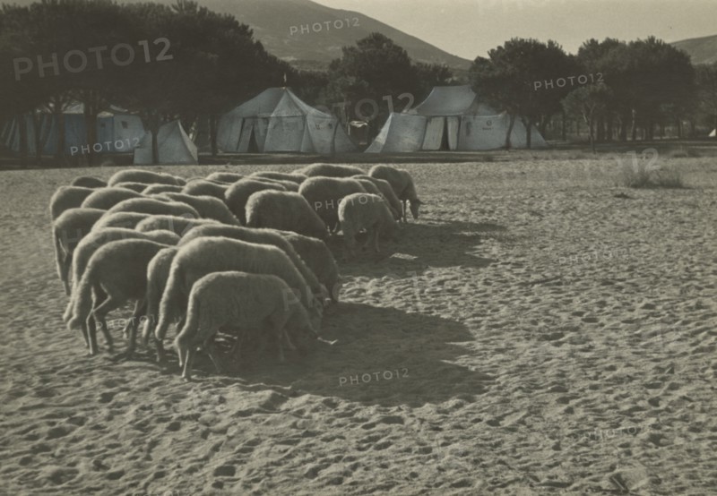 Touring Club Italiano Campsite in Marina di Campo: Tents. 1947