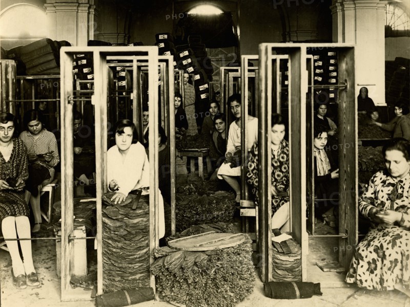 Tobacco processing