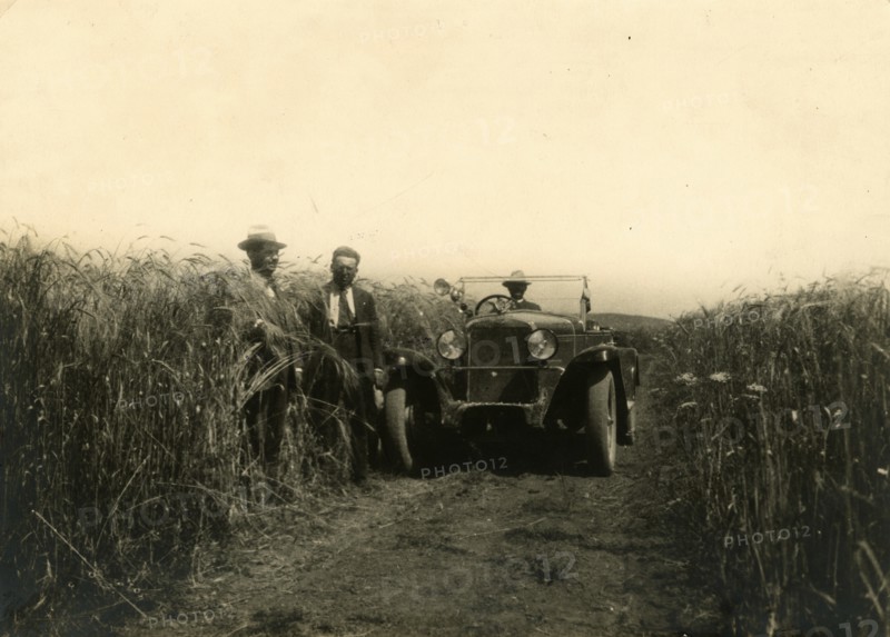Loreto Farm in Irsina