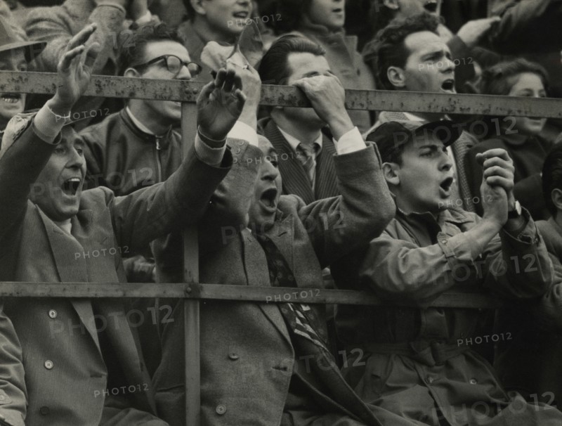Fans at a football match