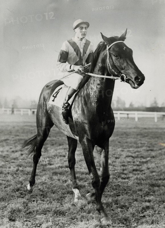 The champion gallop horse Nearco