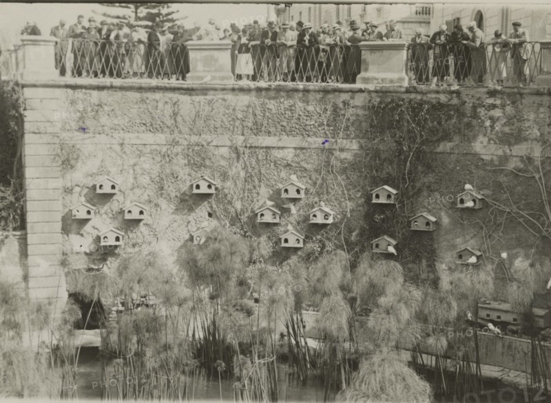 At the Fountain of Arethusa in Ortigia.  Syracuse. 
	
		1924
