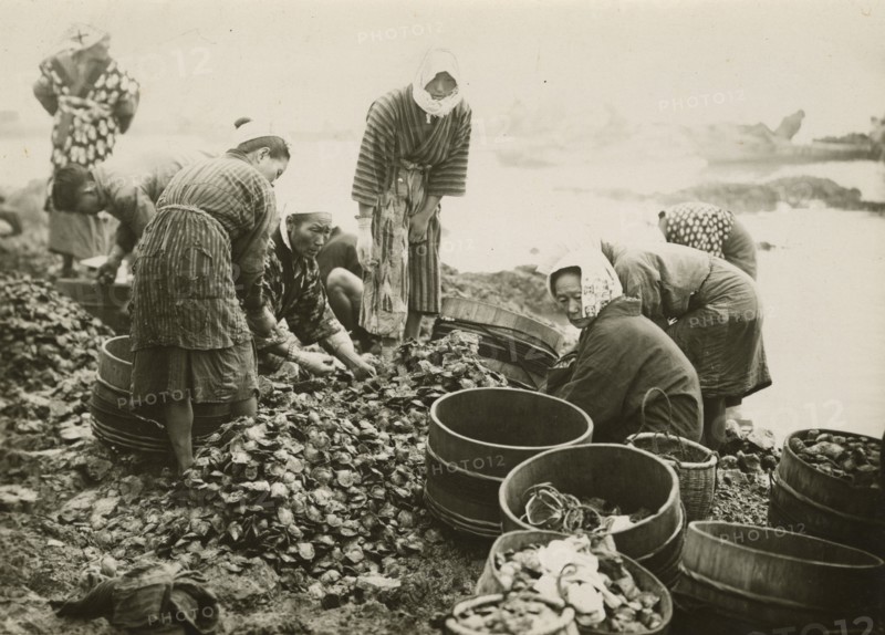 Pearl oyster fishing in Ago Bay, Japan. 
	
		1940-1960