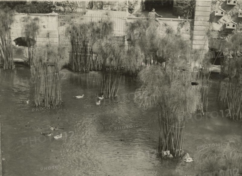 The Fountain of Arethusa in Ortigia. 1924