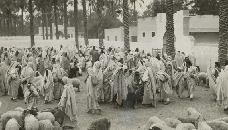 Libyan shepherds with their flocks. 1931