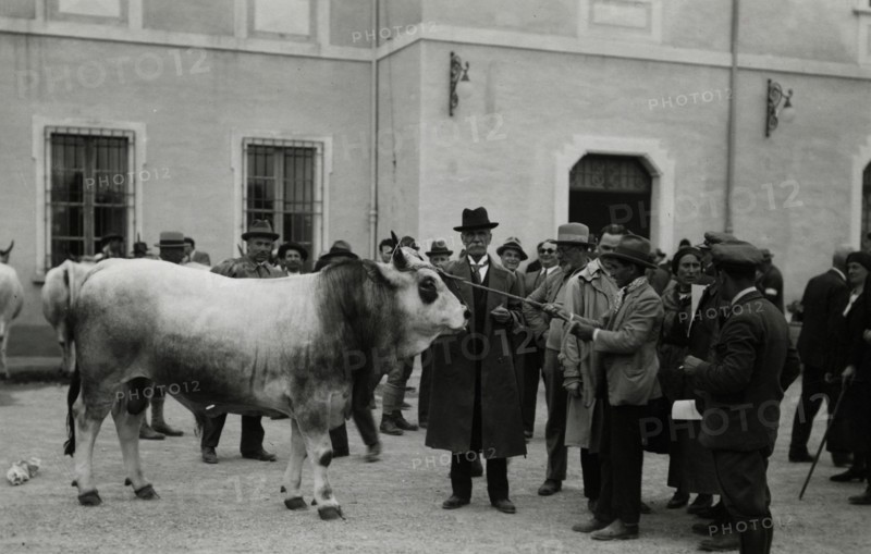 Visit to the Agricultural Institute of Cesena. 1931