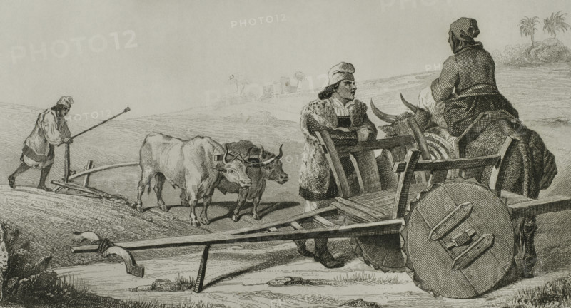 Sardinia. Sardinian farmers. Engraving by Woltener. Lemaitre direxit. History of Malta and Gozo, by Frederic Lacroix. Panorama Universal, Spanish edition, printed in Barcelona, 1850.