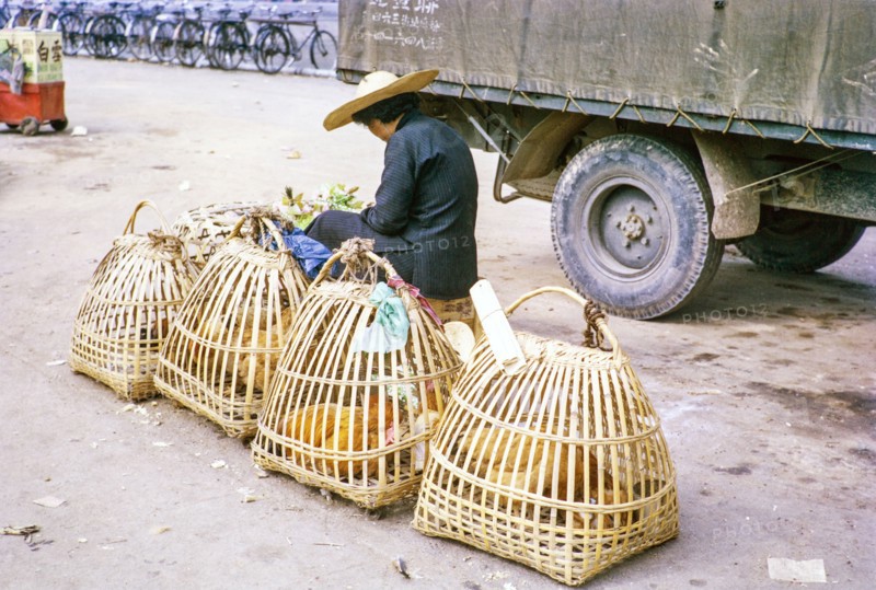 Woman selling chickens in baskets at street market, Tai Po, New Territories, Hong Kong, Asia, 1964.