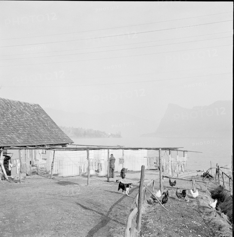Hang up fishing nets to dry, 1959