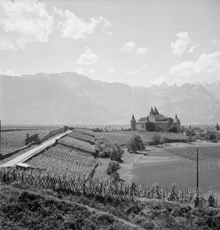 Vineyards around Aigle Castle, 1954