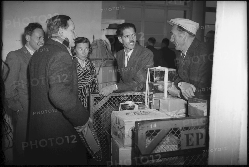 Swiss Himalaya expedition 1947: Preparation