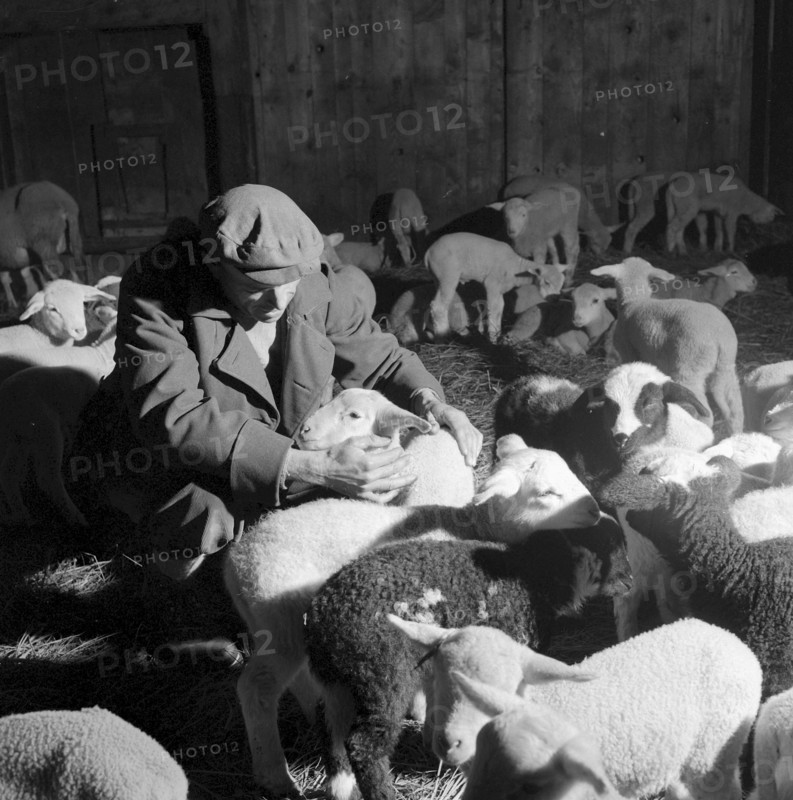 Christmas Eve 1957: shepherd Bartholomeo Baietto, Vionnaz
