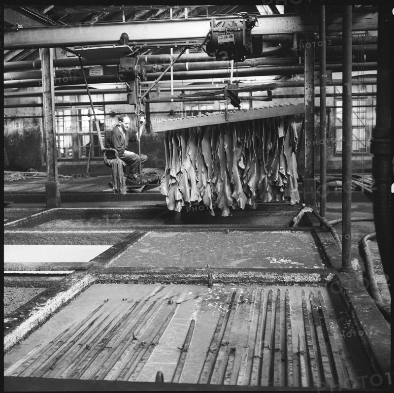 Tannery Olten 1958